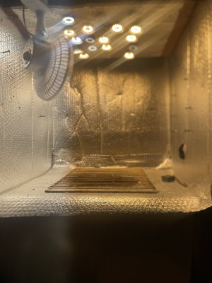 IMG_6973.jpeg IMG_6973.jpeg