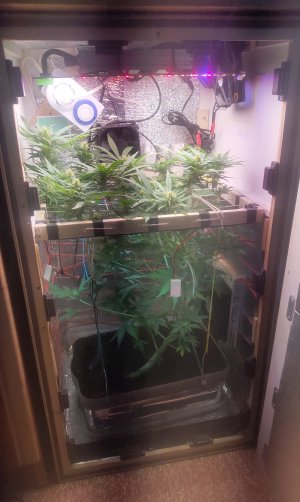 P50508-145646(1).jpg P50508-145646(1).jpg