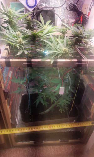 P50508-145758(1).jpg P50508-145758(1).jpg