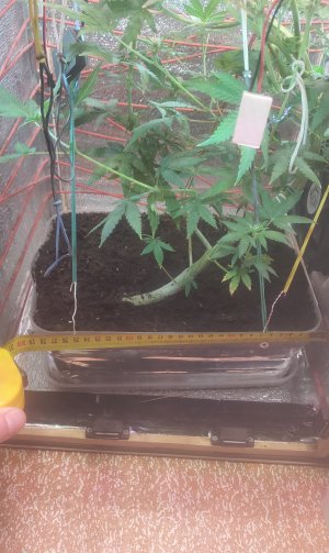 P50508-145932(1).jpg P50508-145932(1).jpg