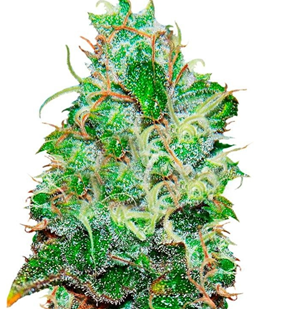 1746711089875.png 1746711089875.png