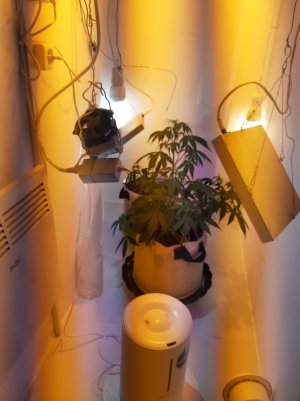 20220406_201043.jpg 20220406_201043.jpg