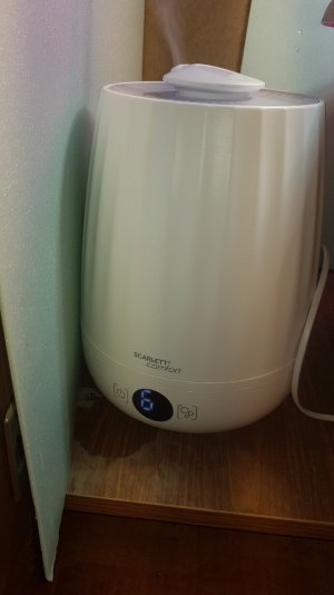 20220408_232912_optimized.jpg 20220408_232912_optimized.jpg