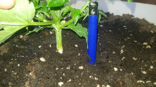 20220409_124839_optimized.jpg 20220409_124839_optimized.jpg