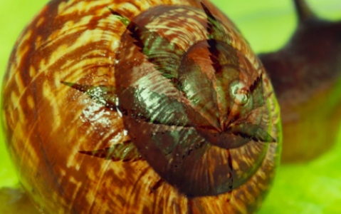 1649776319638.png 1649776319638.png