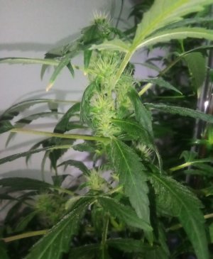 PSX_20220415_013756.jpg PSX_20220415_013756.jpg