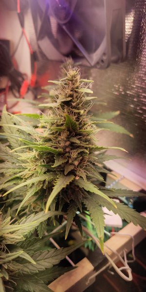 P50525-160259 (1).jpg P50525-160259 (1).jpg