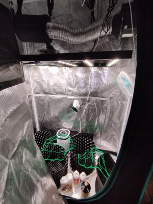 IMG_20250525_194458.jpg IMG_20250525_194458.jpg