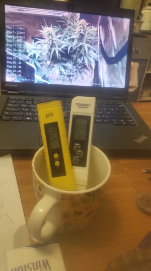 P50529-212139 (1).jpg