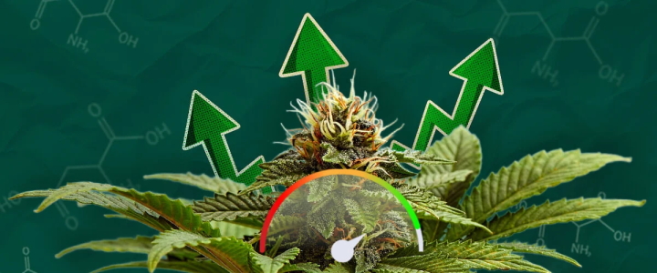 1748603624380.png 1748603624380.png