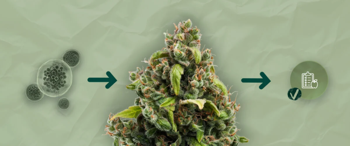 1748603647949.png 1748603647949.png