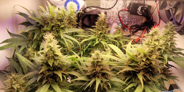 P50530-194702 (1).jpg