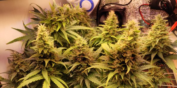 P50531-130214 (1).jpg