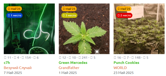 Снимок экрана 2025-06-01 134831.png Снимок экрана 2025-06-01 134831.png