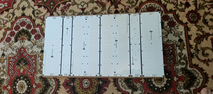 IMG_20250601_094118_528.jpg IMG_20250601_094118_528.jpg