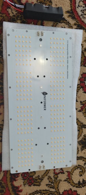 IMG_20250601_093743_606.jpg IMG_20250601_093743_606.jpg