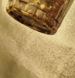 1000003885.jpg 1000003885.jpg