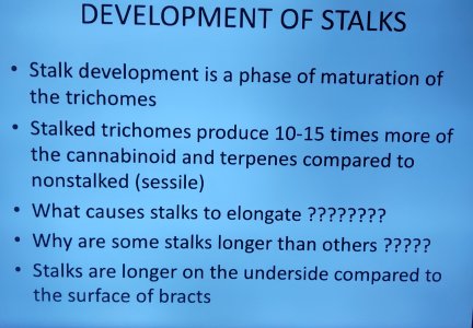 P50610-221342(1) (1).jpg