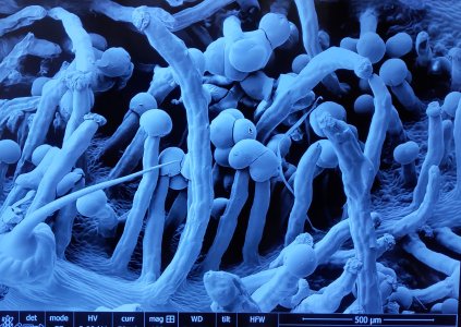 P50610-220825(1) (1).jpg