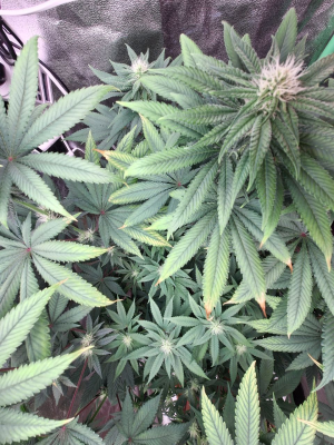 1749894832241.png 1749894832241.png