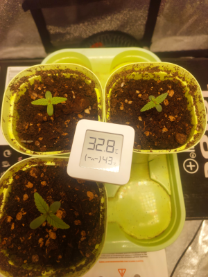 20250611_102150 1.png