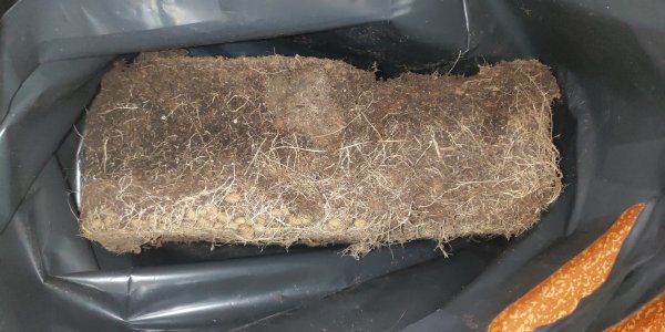 P50618-225917 (1).jpg