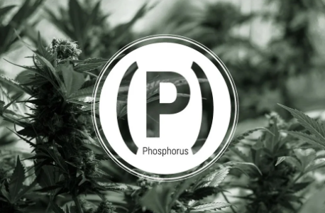 1750696852742.png 1750696852742.png