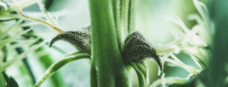 1751298791338.png 1751298791338.png