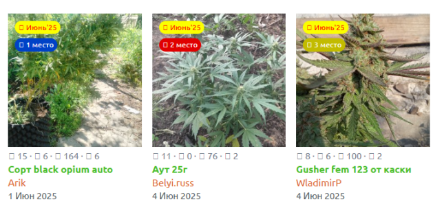 Снимок экрана 2025-07-01 114404.png