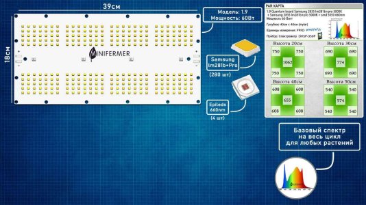 Свет.jpg Свет.jpg