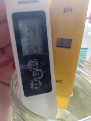 вход.jpg вход.jpg