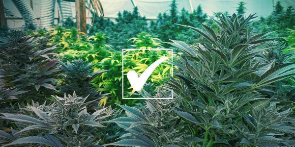 1752077329280.png 1752077329280.png