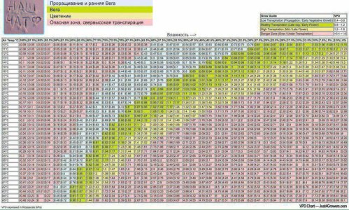 транспирация.jpg транспирация.jpg