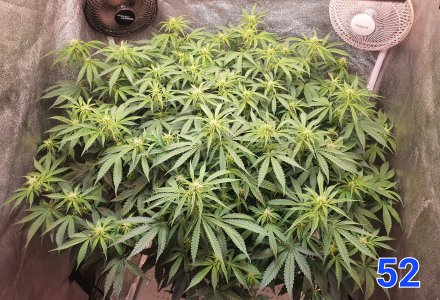 20250711_181028.jpg 20250711_181028.jpg