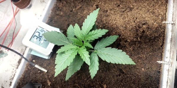 P50712-091457 (1).jpg