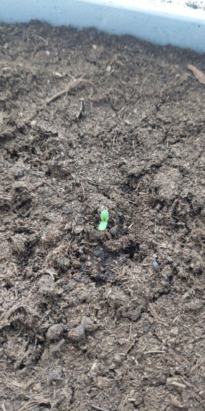 P50630-163304 (1).jpg