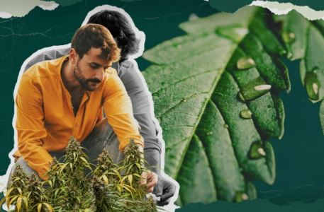 1753195558924.png 1753195558924.png