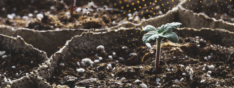 1753376118484.png 1753376118484.png