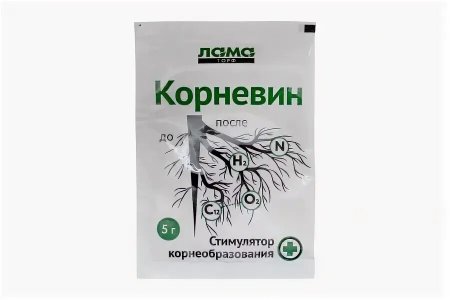 1000019359.jpg 1000019359.jpg