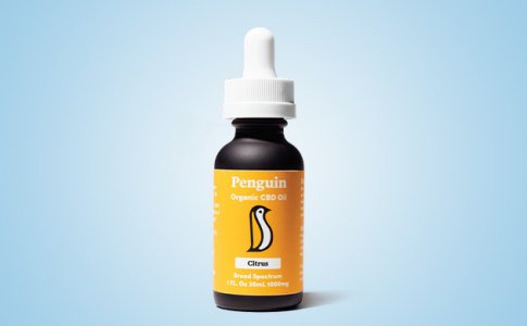 Penguin-CBD-Oil__pQYoHY78tNCGINJZ.jpg Penguin-CBD-Oil__pQYoHY78tNCGINJZ.jpg