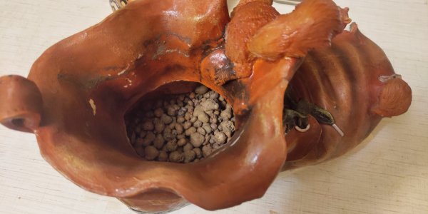 P50731-232055 (1).jpg P50731-232055 (1).jpg