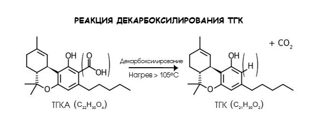 1000019443.jpg 1000019443.jpg