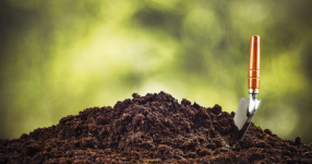 1754304778491.png 1754304778491.png