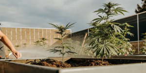 1754304863944.png 1754304863944.png