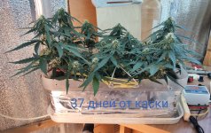 P50806-163021 (1)(1).jpg