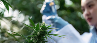 1754647719115.png 1754647719115.png