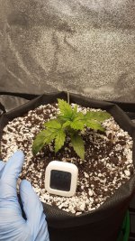 08.10_2.jpg 08.10_2.jpg