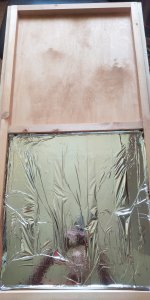 P50813-175336 (1).jpg