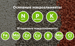 1755162552902.png
