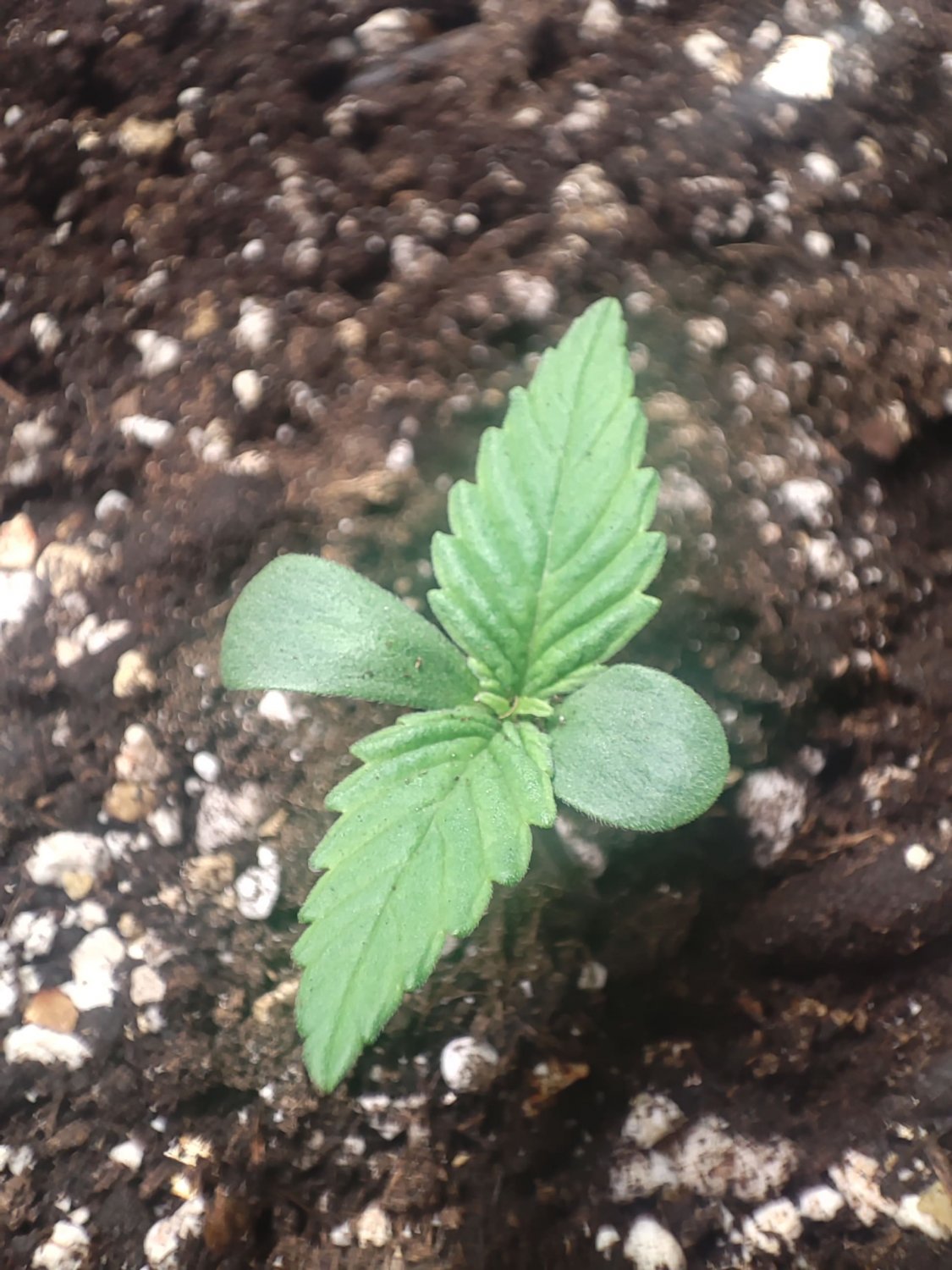 IMG_20220424_160109-min.jpg IMG_20220424_160109-min.jpg